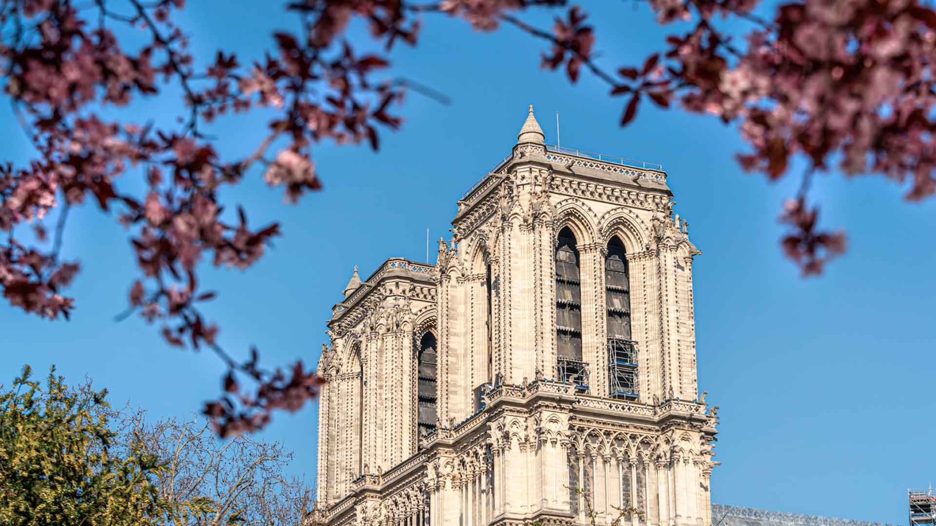 Notre Dame