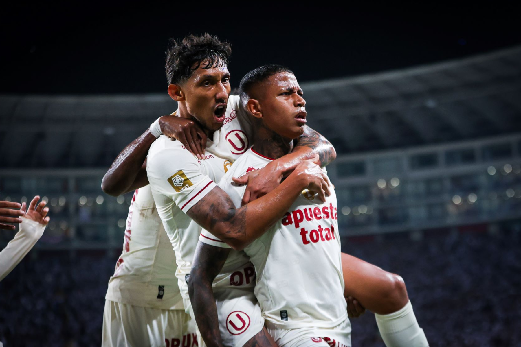Universitario