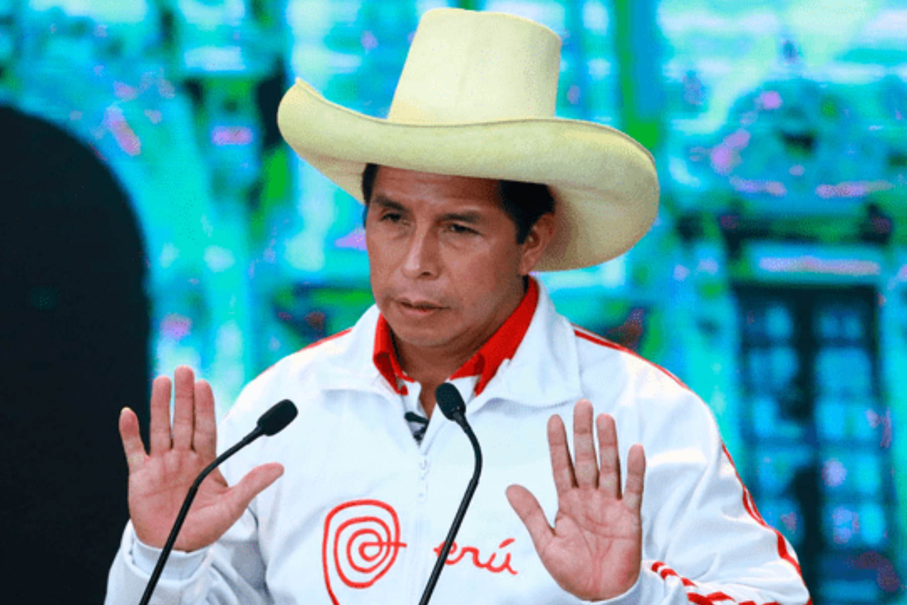 Pedro Castillo denunció a congresistas por vacancia