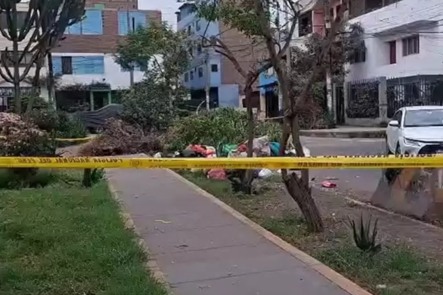Trabajador encuentra cuerpo desmembrado en Independencia.