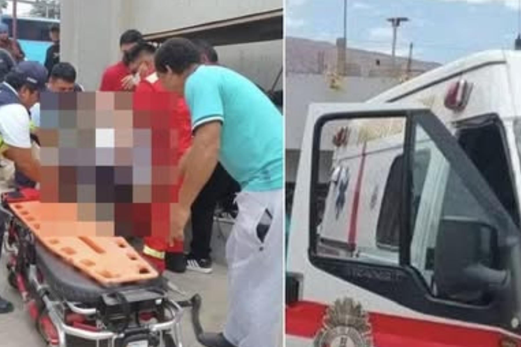 Pasajera fallece en la Panamericana Sur.